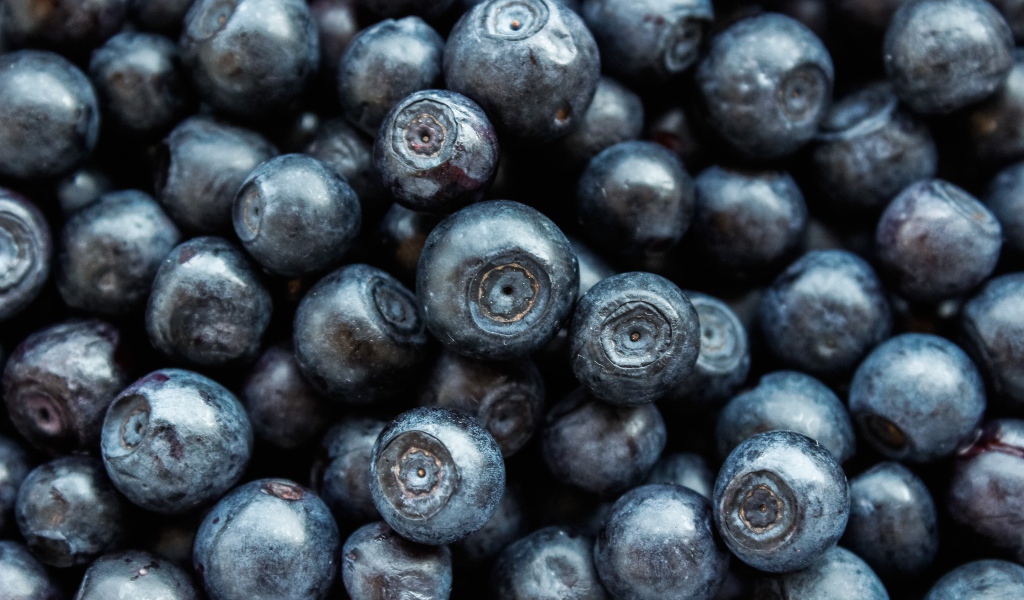 Ягоды черники крупным планом 