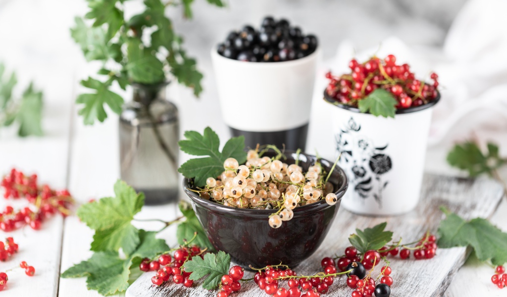 Свежая красная, черная и белая смородина на столе