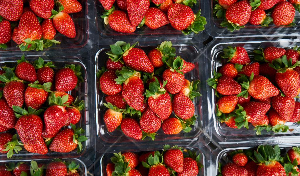 Много контейнеров со спелой сочной красной клубникой 