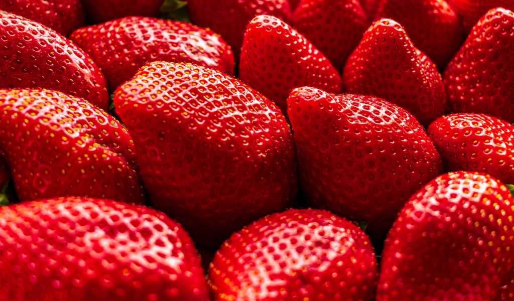 Много сладкой спелой красной клубники крупным планом