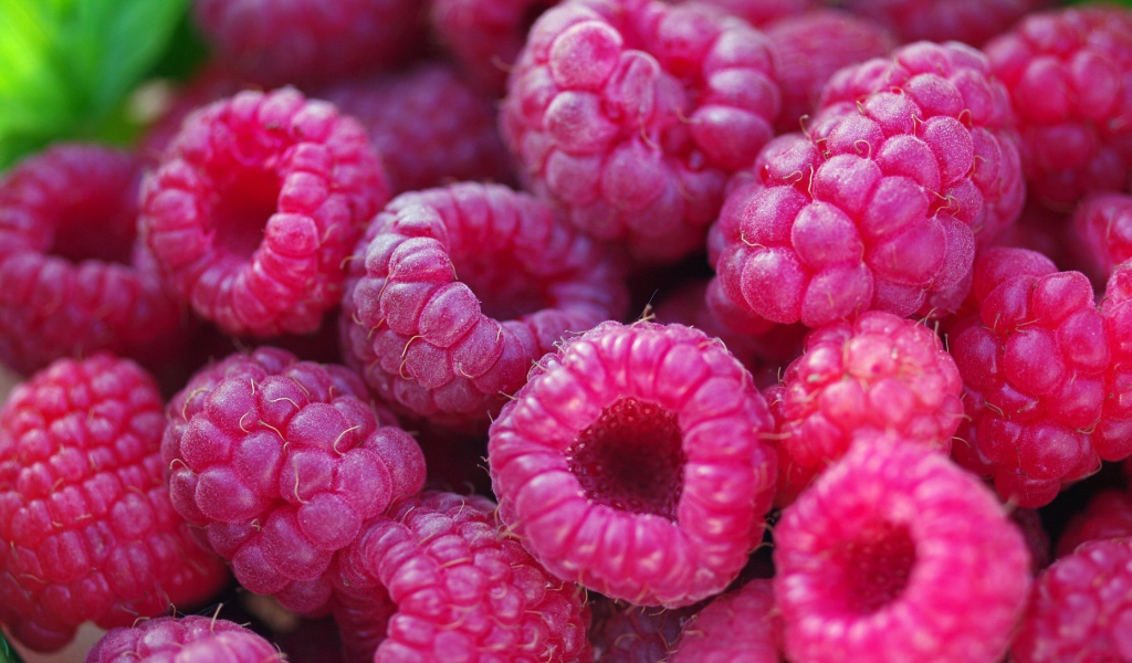 Спелые крупные ягоды малины 