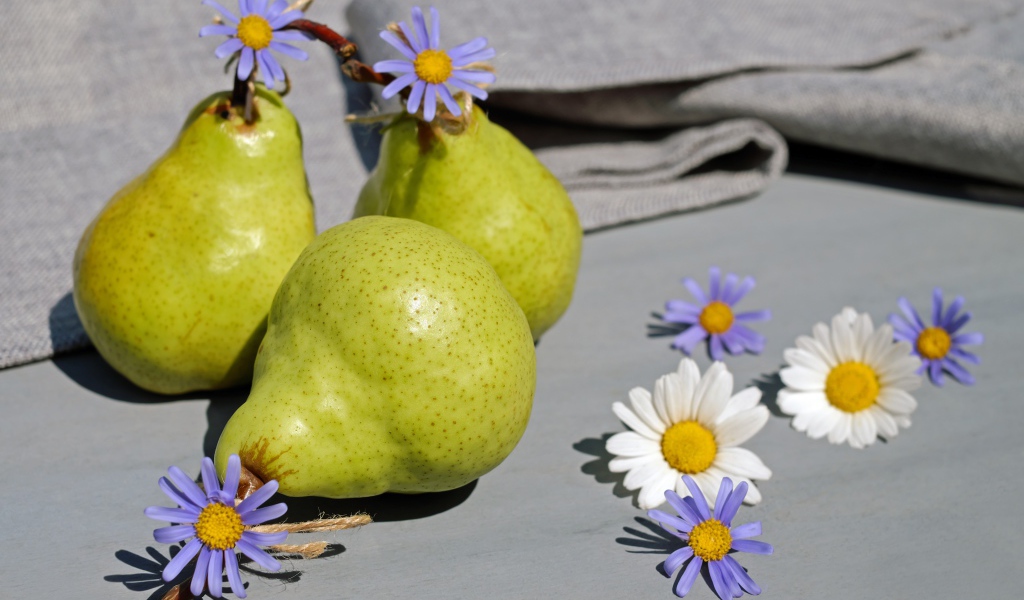 Три груши на столе с цветами