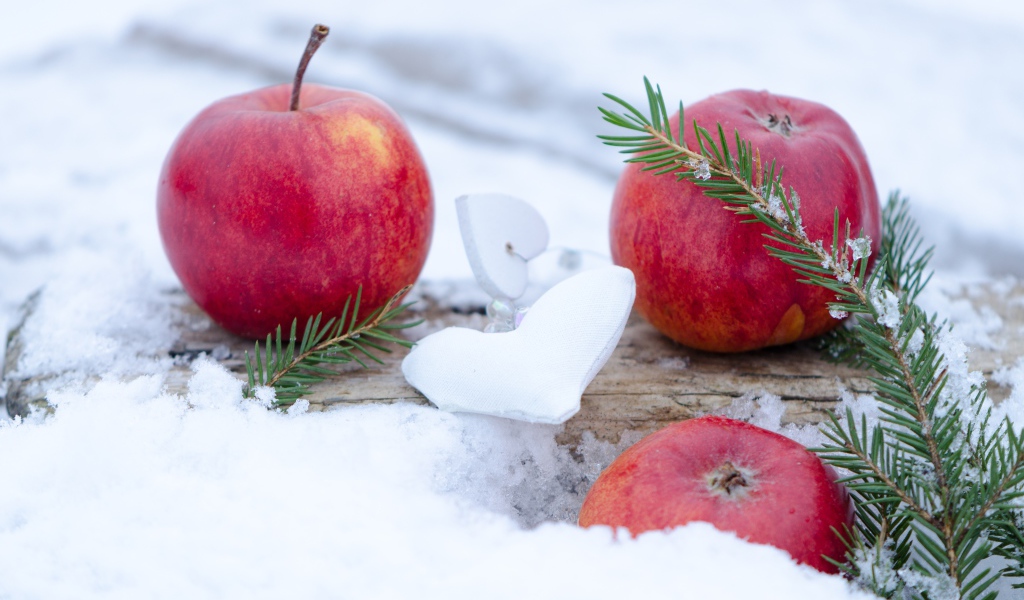 Три красных яблока лежат на снегу с еловой веткой 