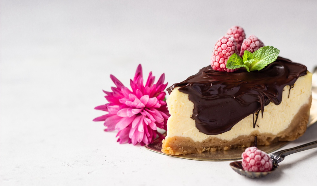 Кусок чизкейка с шоколадом на столе с малиной и цветком