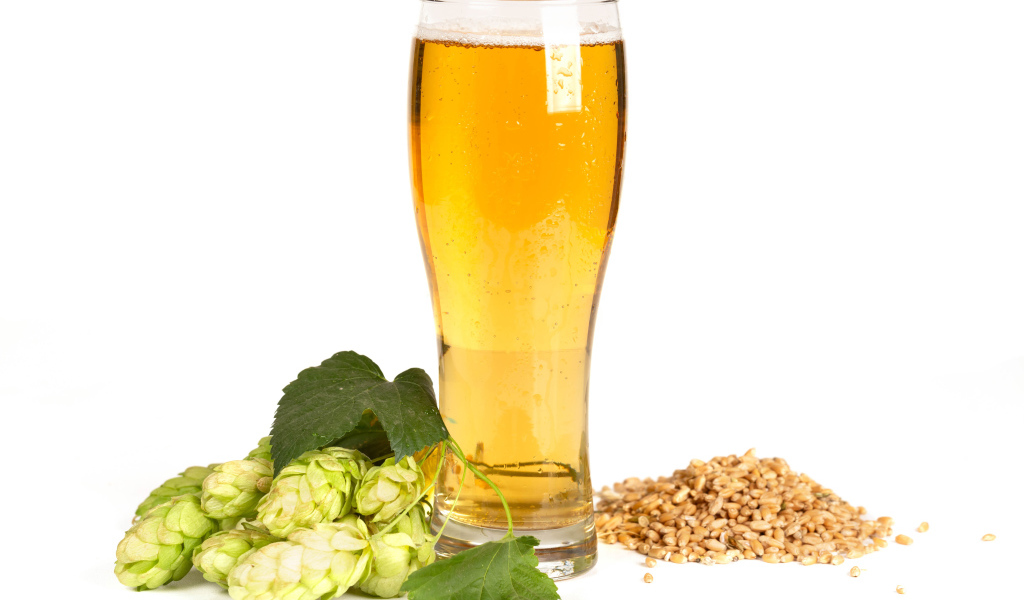 Бокал холодного пива на белом фоне с хмелем и зернами пшеницы