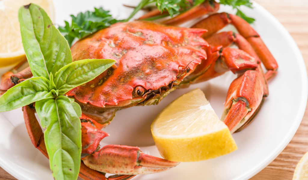 Cooked crab on a plate with lemon and herbs