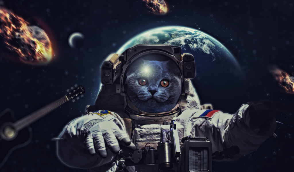 Кот в костюме космонавта в космосе 
