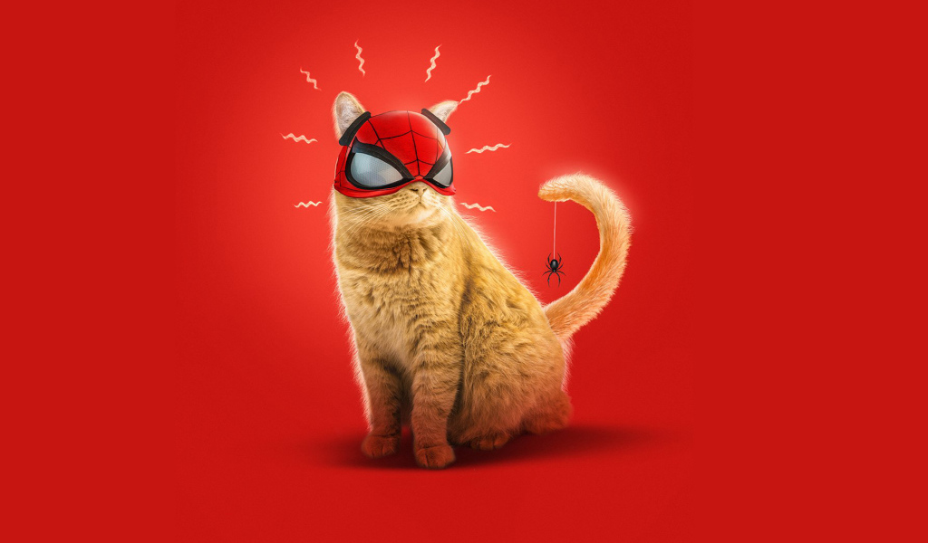 Рыжий кот в маске спайдермена на красном фоне