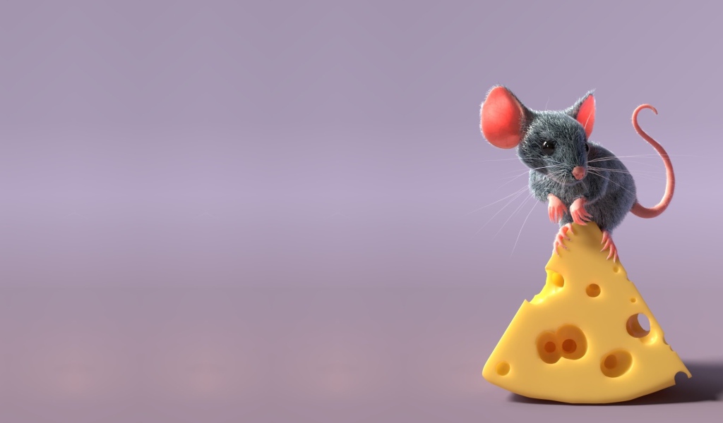 Little gray mouse on a piece of cheese