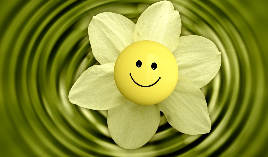 Цветок нарцисса со смайликом в воде 