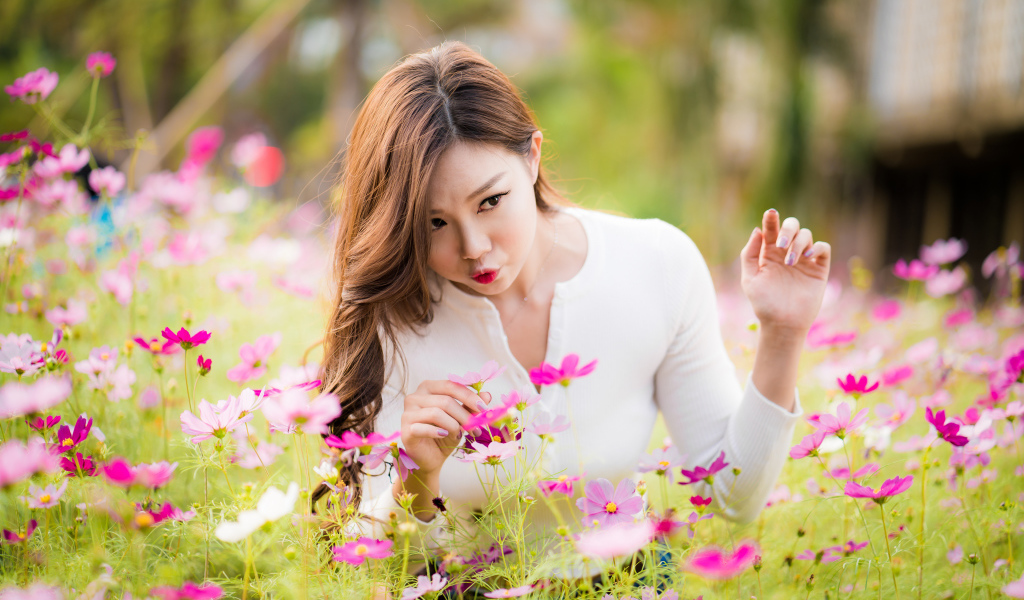 Красивая девушка азиатка в цветах космеи