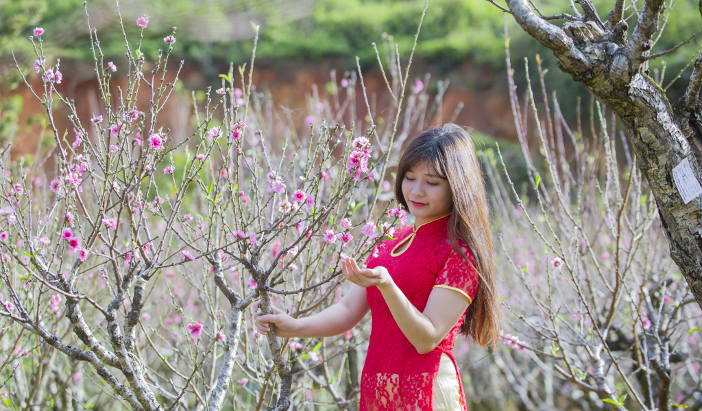 Красивая азиатка в красном наряде у дерева сакуры
