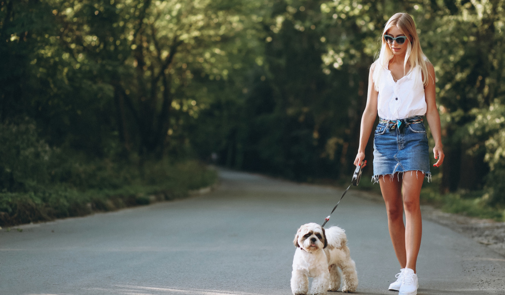 Красивая блондинка идет по дороге с собакой