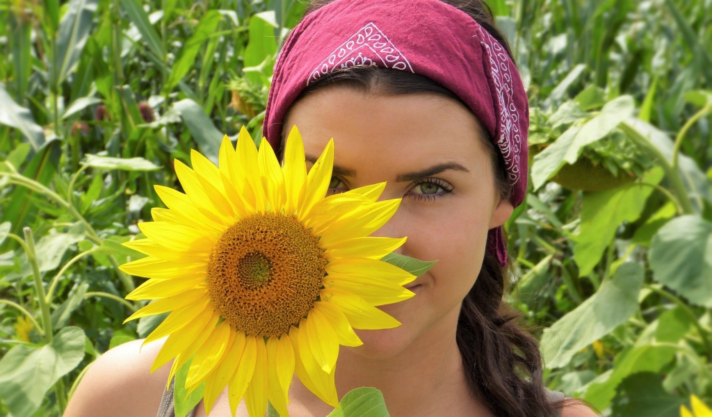 Красивая девушка держит в руках цветок подсолнуха