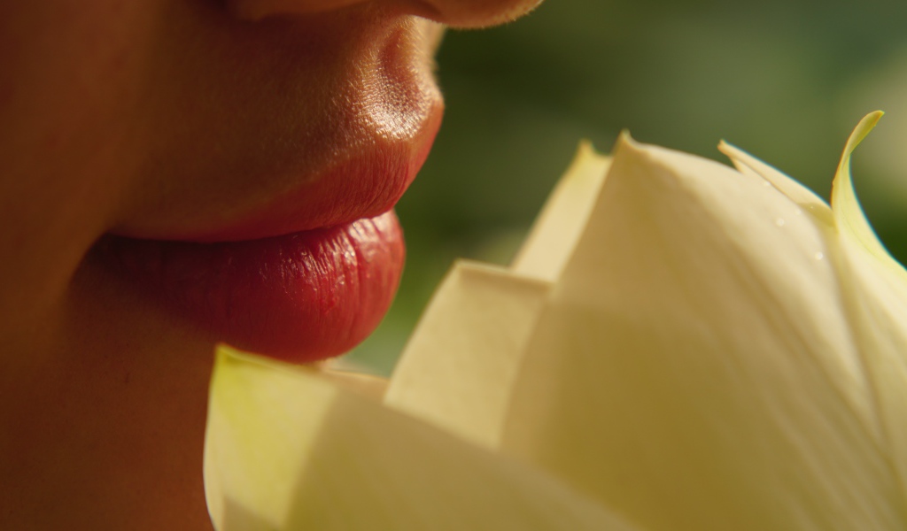 Красивые губы девушки с цветком