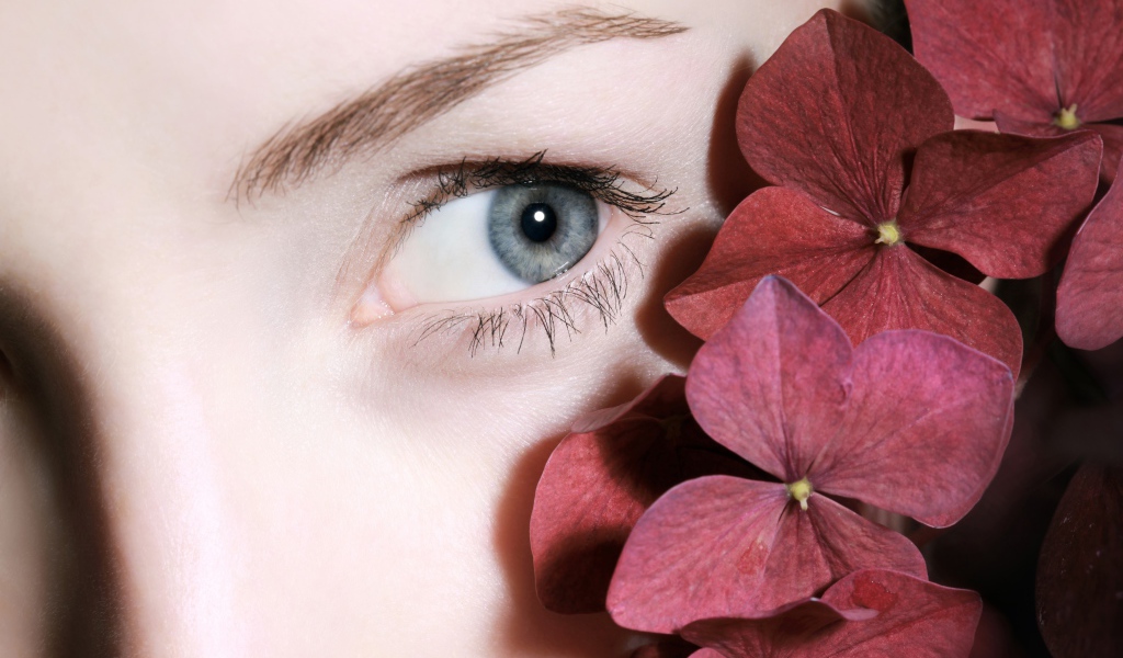 Глаз красивой девушки с красными цветами