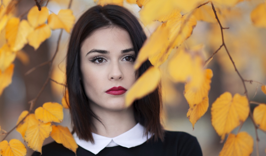 Girl with red lips near a branch with yellow leaves