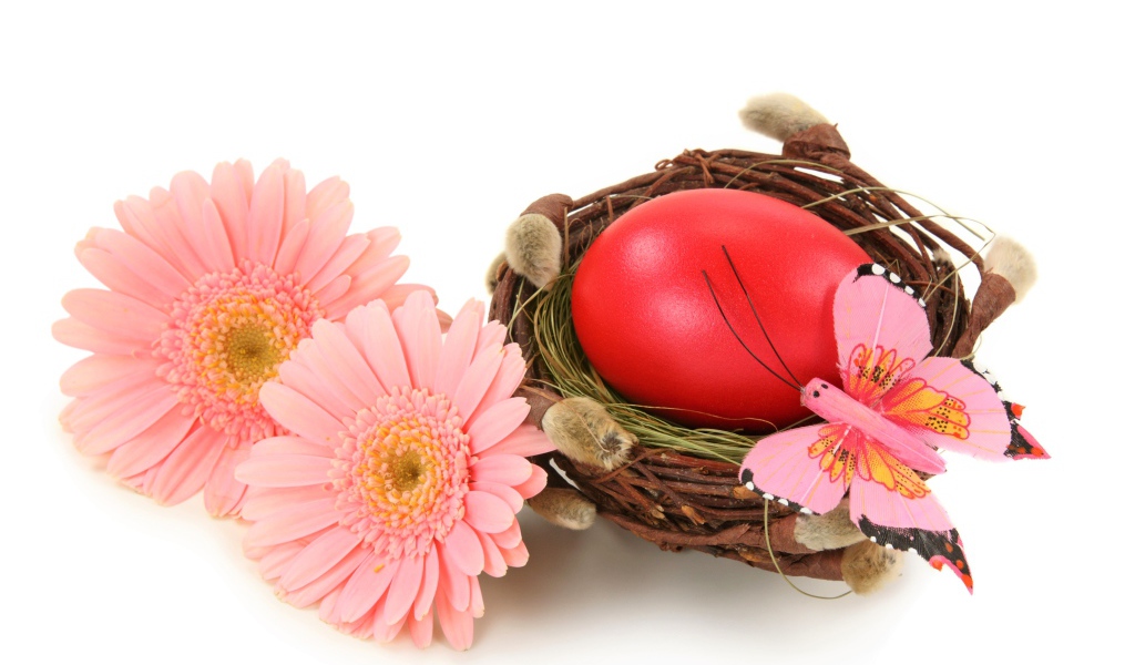 Яйцо в гнезде с розовыми герберами на белом фоне на Пасху