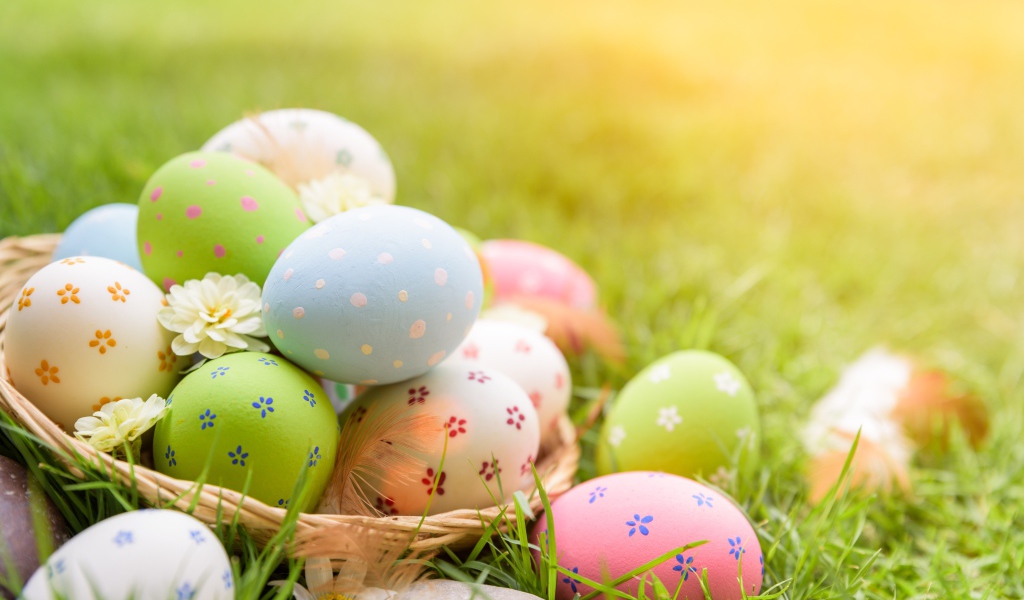 Разноцветные пасхальные яйца в корзинке на зеленой траве