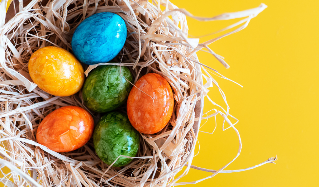 Разноцветные крашеные яйца в гнезде на Светлый праздник Пасха