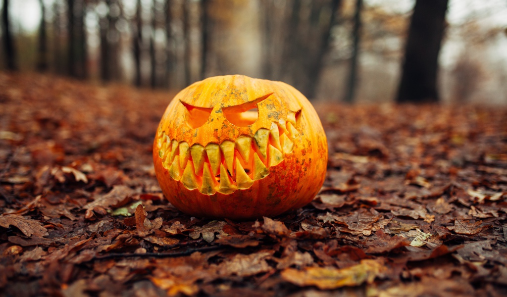 Злобная тыква в лесу на листве на праздник Хэллоуин