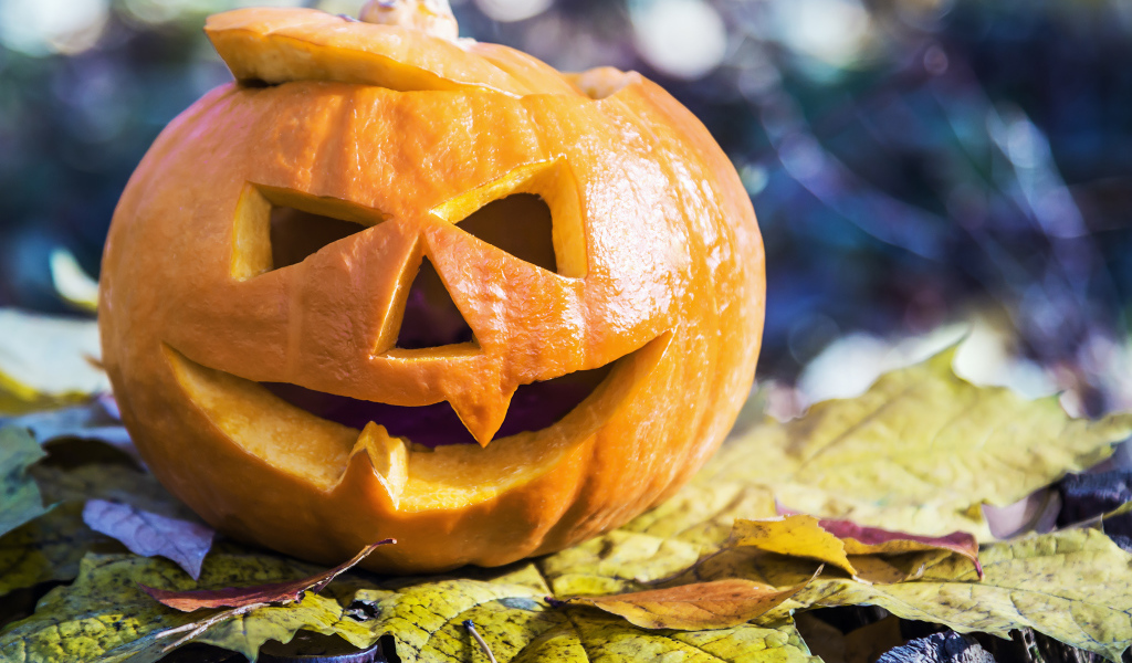 Тыква на Хэллоуин стоит на листке