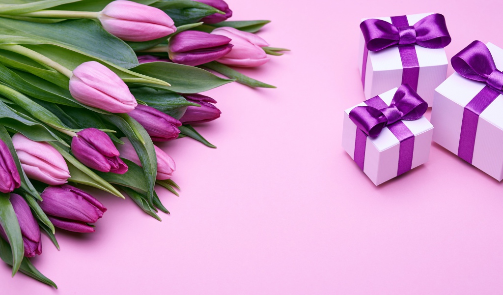 Большой букет фиолетовых тюльпанов с подарками на розовом фоне