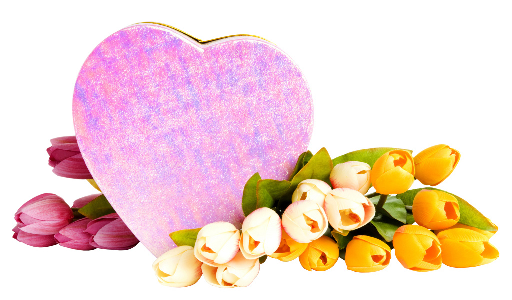 Коробка в форме сердца и букет тюльпанов на белом фоне на 8 марта