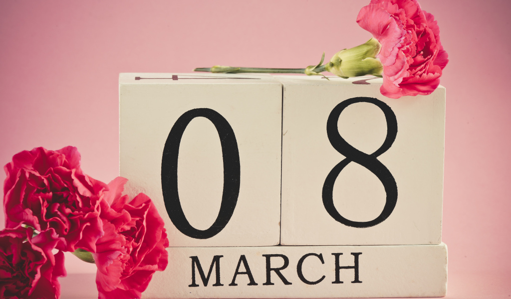 Розовые гвоздики в подарок на 8 марта