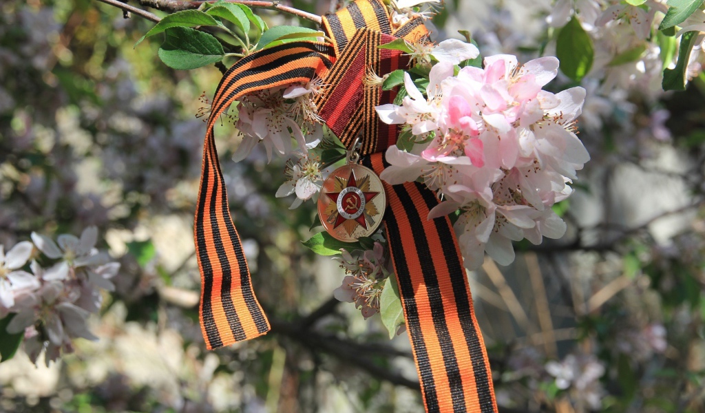Георгиевская лента и награда на яблоне на 9 мая День Победы 