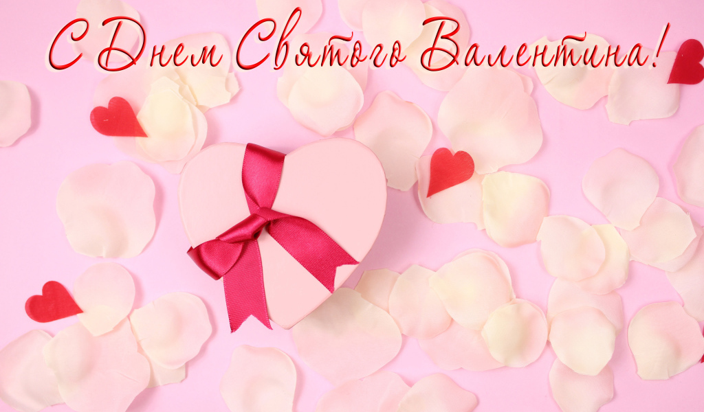 Подарок и лепестки розовой розы открытка С Днем Святого Валентина