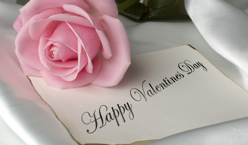 Розовая роза и открытка на День Святого Валентина 