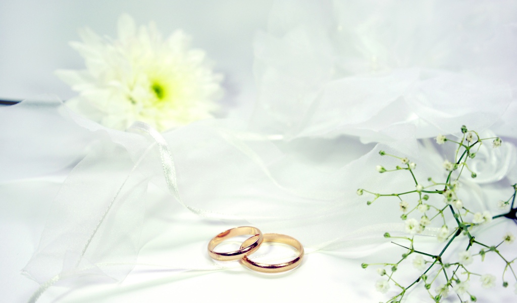 Два золотых обручальных кольца на белом фоне с цветами