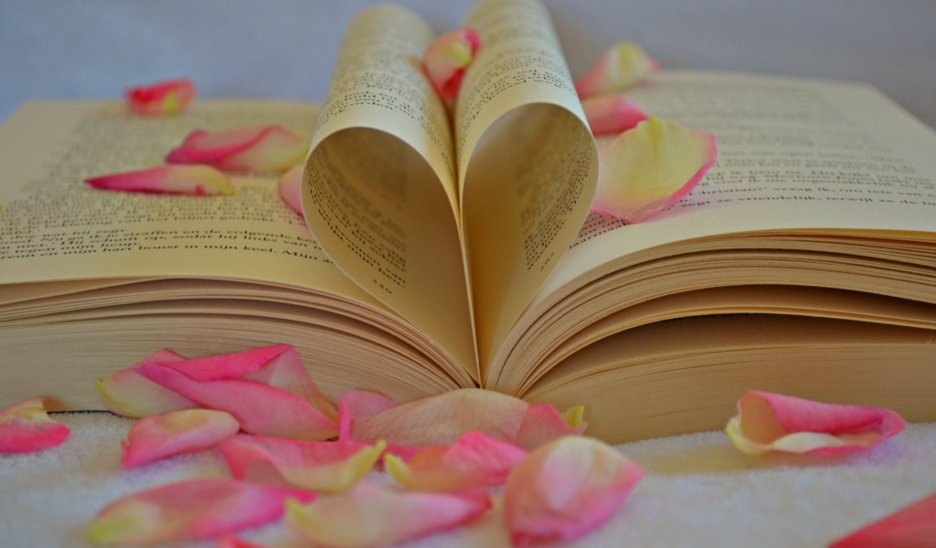 Сердце из листов книги с лепестками розы 