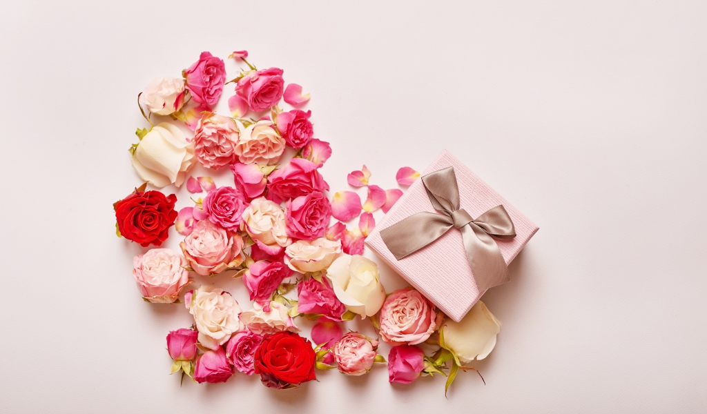 Сердце из цветов розы на розовом фоне с подарком