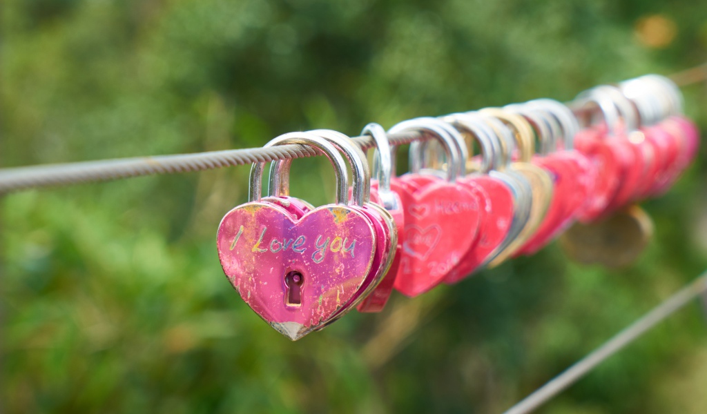 Locks of lovers on a rope near the bridge