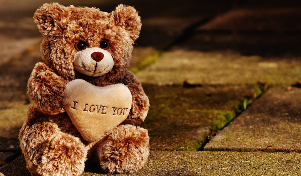 Игрушечный медведь с сердцем сидит на дороге 