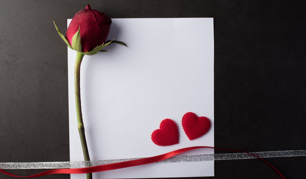 Белый лист бумаги, роза и ленточки на сером фоне