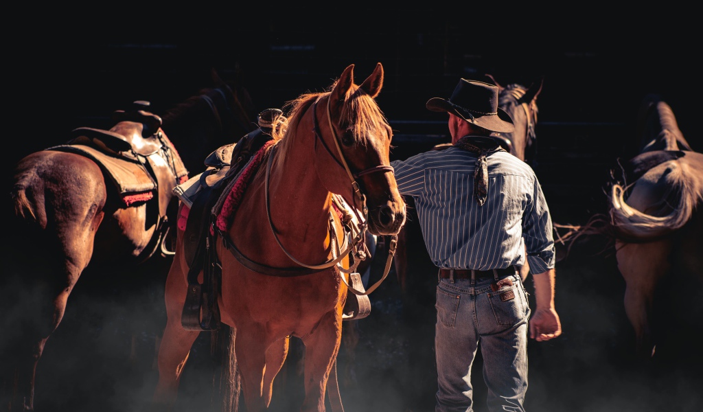 Мужчина ковбой с коричневой лошадью 