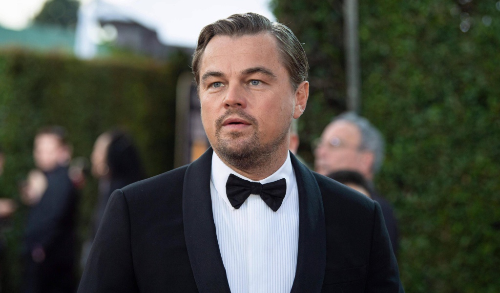 Популярный актер Леонардо Ди Каприо в костюме
