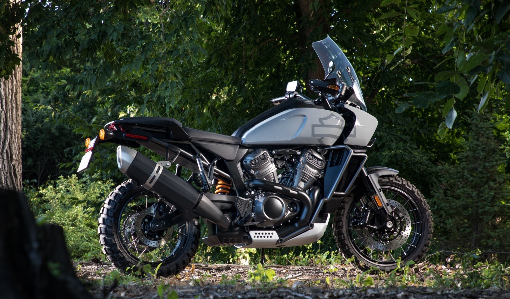 Мотоцикл Harley-Davidson в парке 