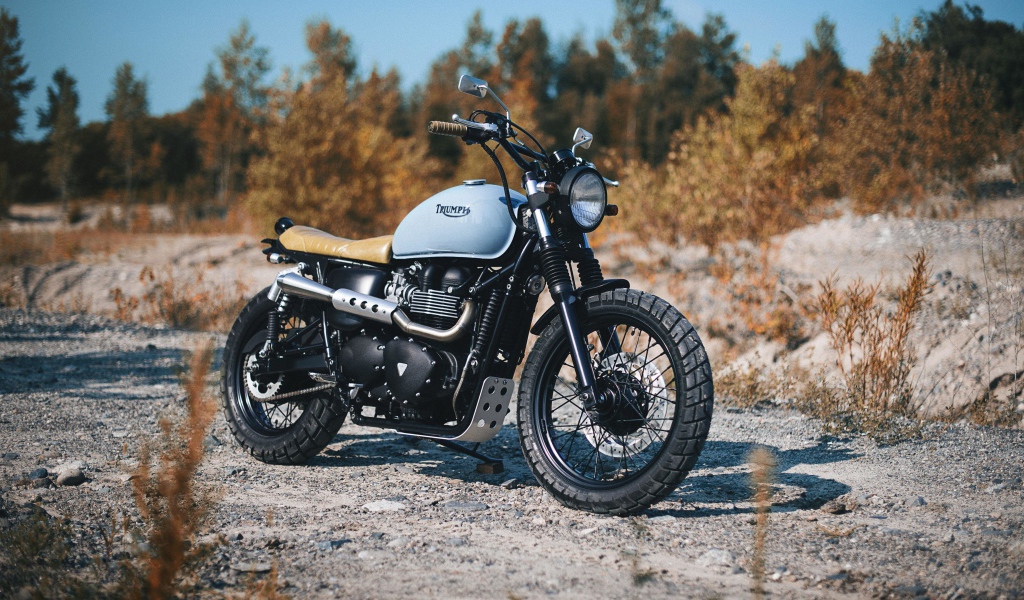 Triumph Bonneville motorcycle on the road in the forest