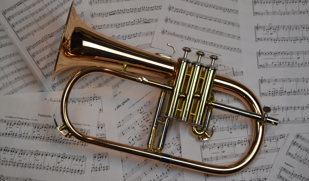 Музыкальный инструмент труба лежит на нотах 