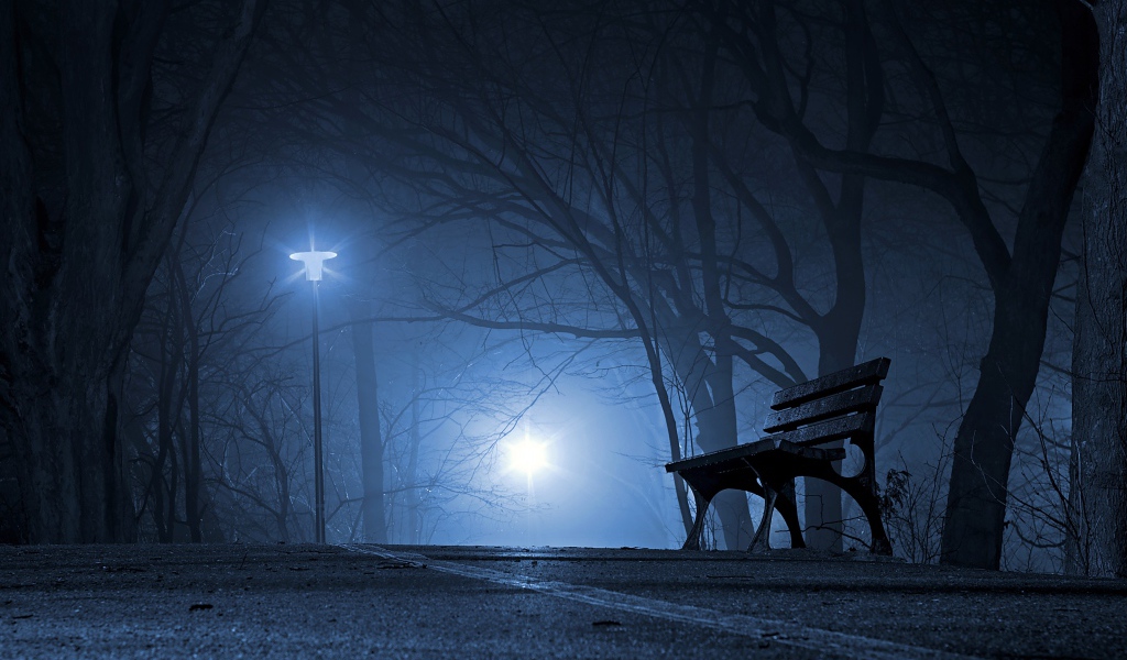 A bench in a cold night park