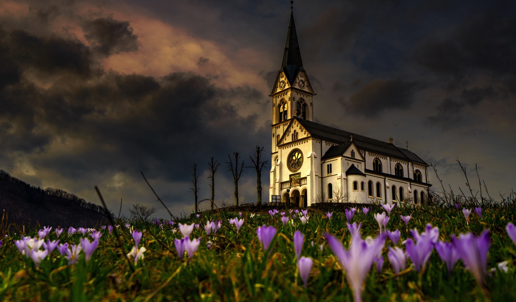 Старая часовня стоит на холме с цветами 