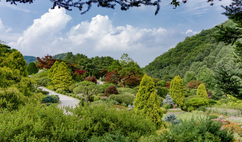 Красивый зеленый парк под голубым небом, Корея
