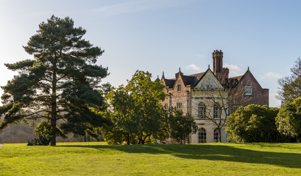 Красивый дом с деревьями и зеленым газоном