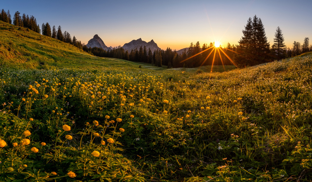 Красивый горный пейзаж солнечным днем