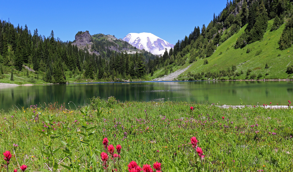 Красивый живописный пейзаж у горного озера 