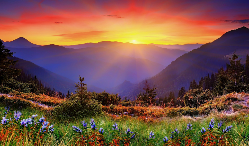 Красивый вид на восход солнца над горами